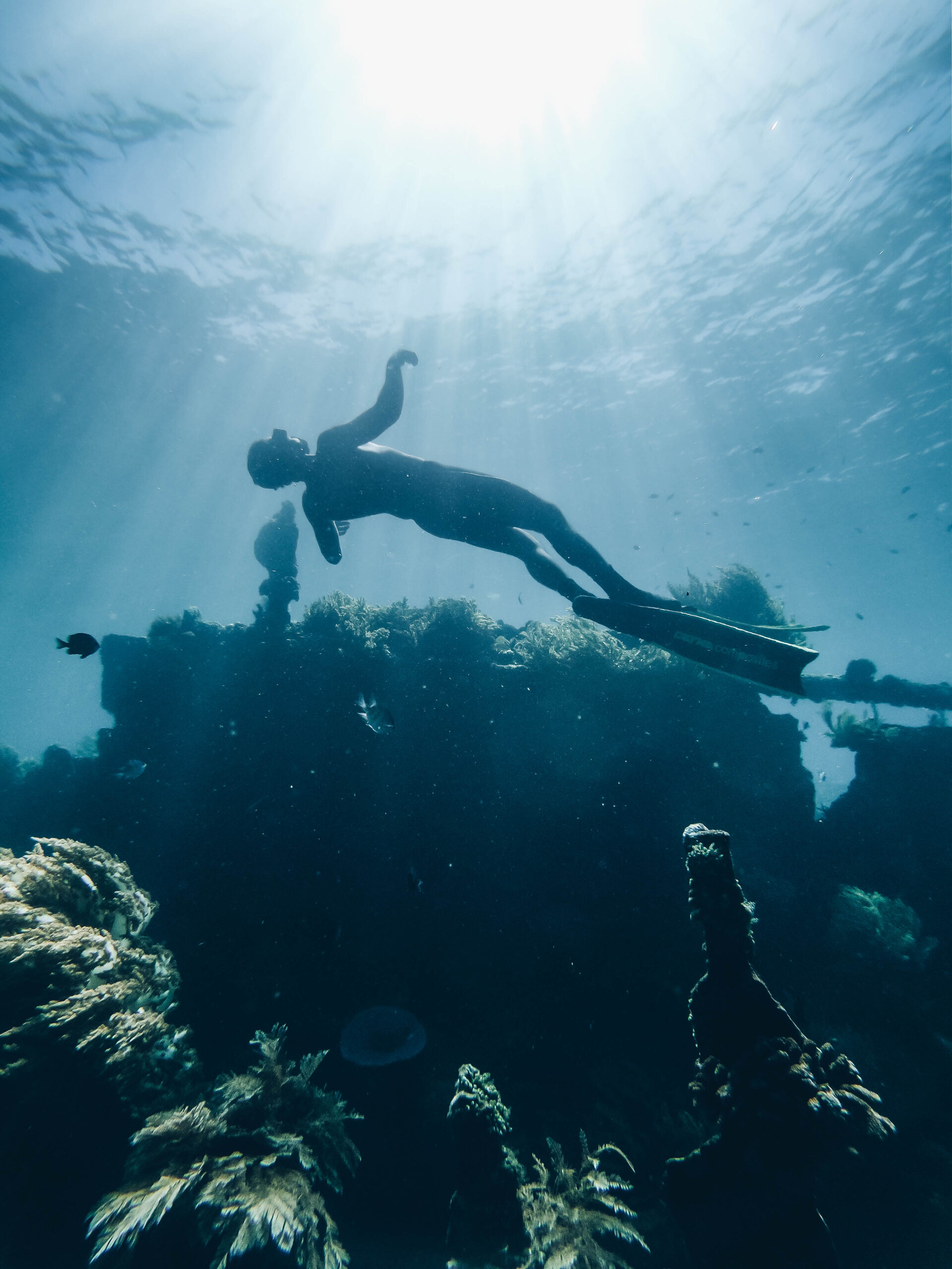 freediver training mauritius SSI freedive