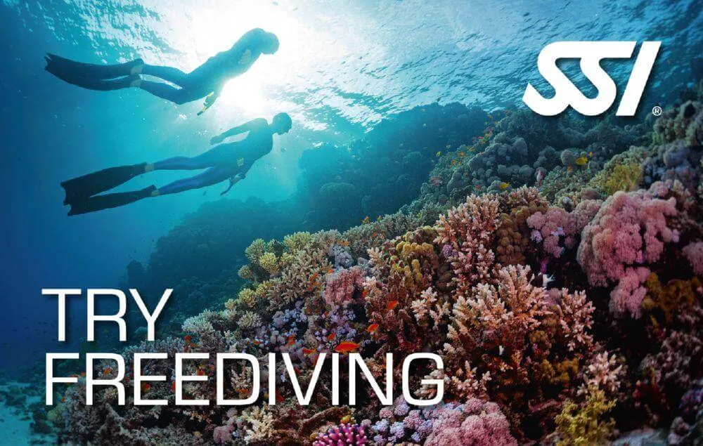 advanced freediver image ssi freedive mauritius